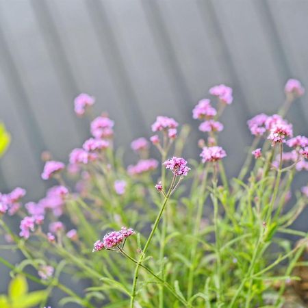 Holiday Home Etel - 600M From The Sea In Djursland And Mols By Interhome エーベルトフト エクステリア 写真